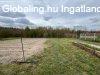 Eladó Családi Niklán! - Nikla